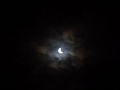 DSC_0340.JPG