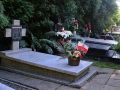 DSC_9941.JPG