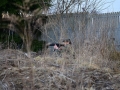 DSC_7561.JPG