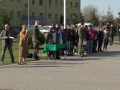 S1170012-Średni