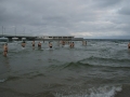 SONY DSC