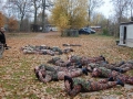 poligon10.jpg