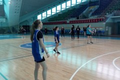 Ręczna