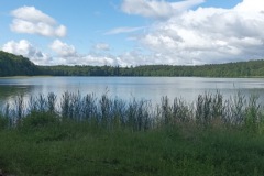Sprzątamy 2022