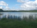 IMG_20220621_094623-Sredni