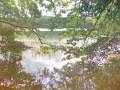 IMG_20220621_100434-Sredni