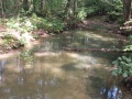 IMG_20220621_100440-Sredni