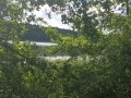 IMG_20220621_100837-Sredni