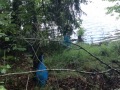 IMG_20220621_102419-Sredni