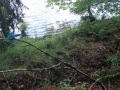 IMG_20220621_102421-Sredni