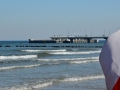 DSC_8020.JPG